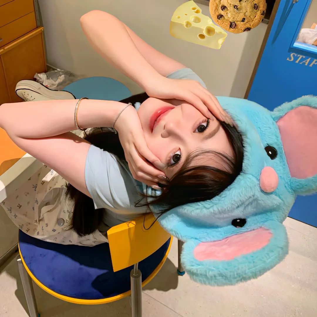 明星郑宇