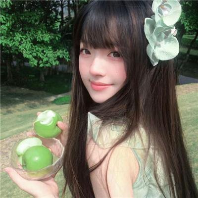 明星郑宇